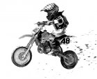 Suzuki Gebraucht