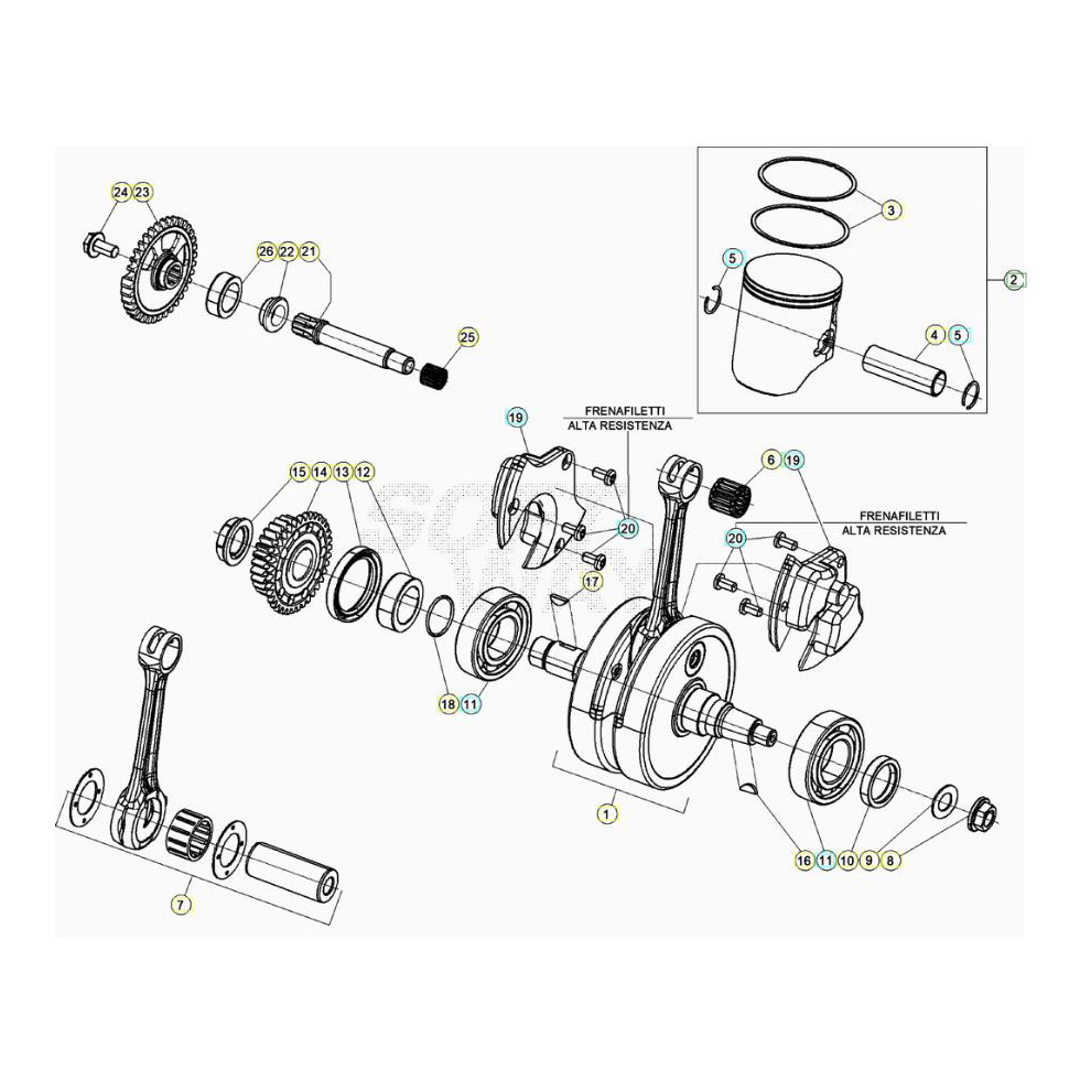 Beta RR250RC 20 Kurbelwelle/Kolben/Ausgleichswelle Ersatzteile