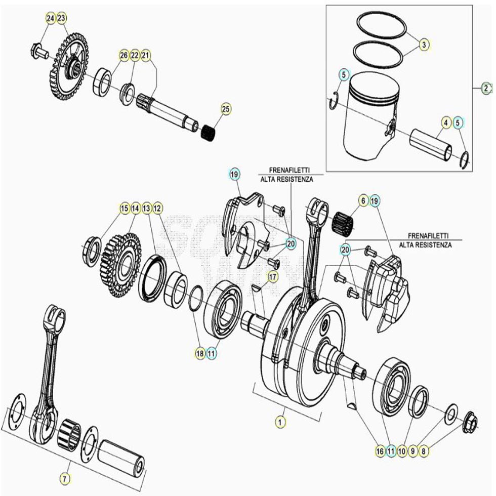 Beta RR300 20 Kurbelwelle/Kolben/Ausgleichswelle Ersatzteile Beta RR300 20 Kurbelwelle/Kolben/Ausgleichswelle Ersatzteile