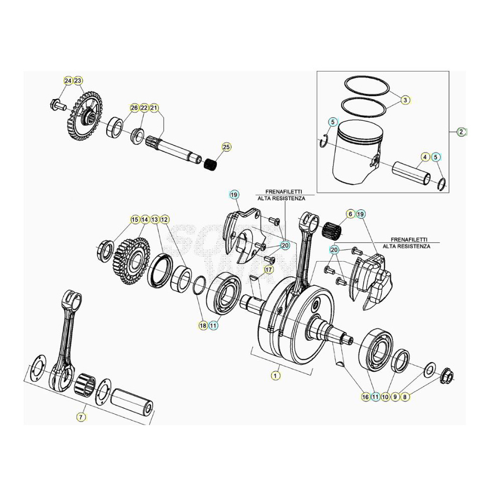 Beta RR300 23 Kurbelwelle/Kolben/Ausgleichswelle Ersatzteile Beta RR300 23 Kurbelwelle/Kolben/Ausgleichswelle Ersatzteile