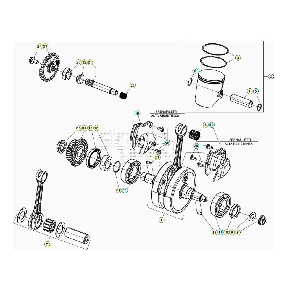 Beta RR300RC 20 Kurbelwelle/Kolben/Ausgleichswelle Ersatzteile Beta RR300RC 20 Kurbelwelle/Kolben/Ausgleichswelle Ersatzteile