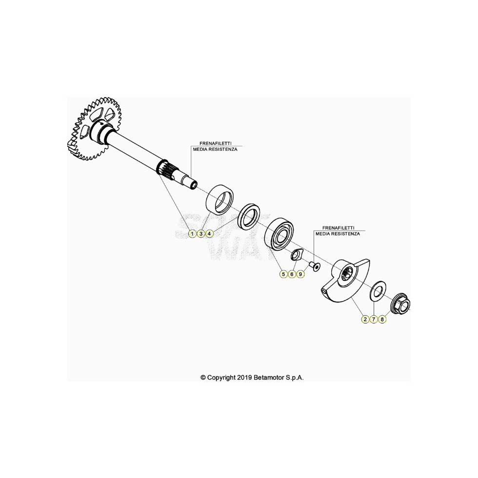 Beta RR390 Racing 24 Kurbelwelle/Kolben/Ausgleichswelle 1 Ersatzteile Beta RR390 Racing 24 Kurbelwelle/Kolben/Ausgleichswelle 1 Ersatzteile