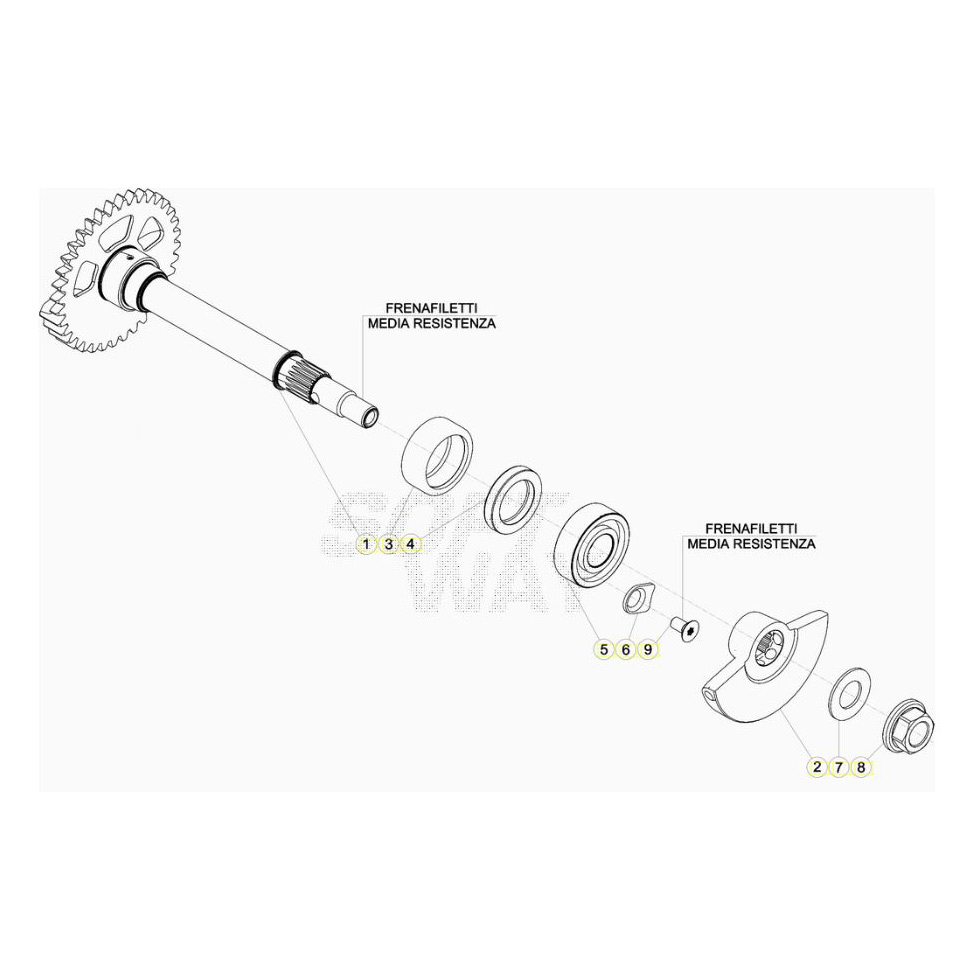 Beta RR480 21 Kurbelwelle/Kolben/Ausgleichswelle 1 Ersatzteile