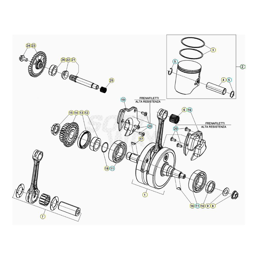 Beta Xtrainer250 20 Kurbelwelle/Kolben/Ausgleichswelle Ersatzteile Beta Xtrainer250 20 Kurbelwelle/Kolben/Ausgleichswelle Ersatzteile