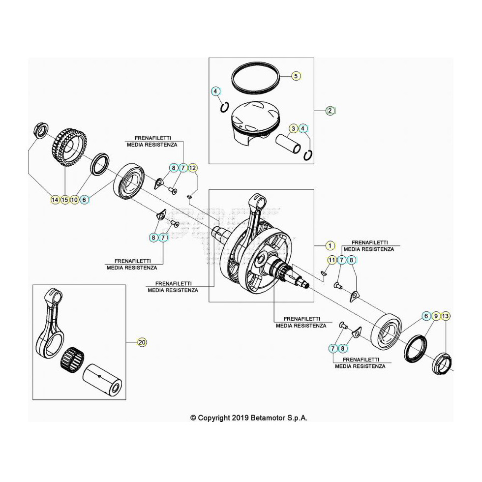 Beta RR350 25 Kurbelwelle/Kolben/Ausgleichswelle 2 Ersatzteile Beta RR350 25 Kurbelwelle/Kolben/Ausgleichswelle 2 Ersatzteile