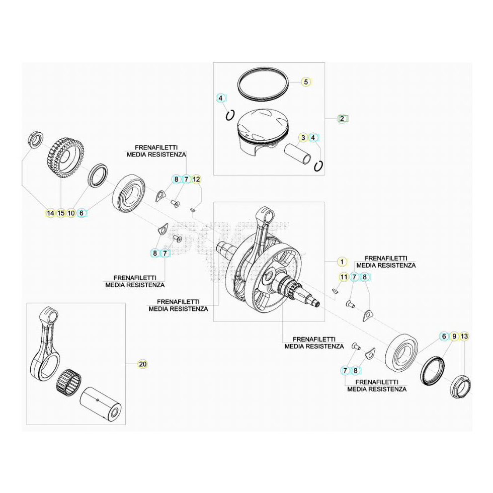 Beta RR480 24 Kurbelwelle/Kolben/Ausgleichswelle 2 Ersatzteile Beta RR480 24 Kurbelwelle/Kolben/Ausgleichswelle 2 Ersatzteile