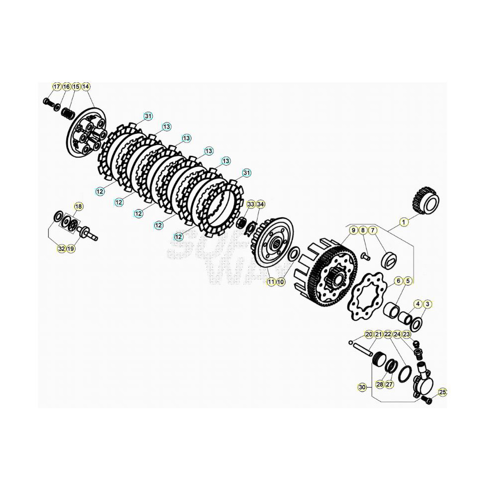 Beta EVO250 23 Primärtrieb/Kupplung Ersatzteile