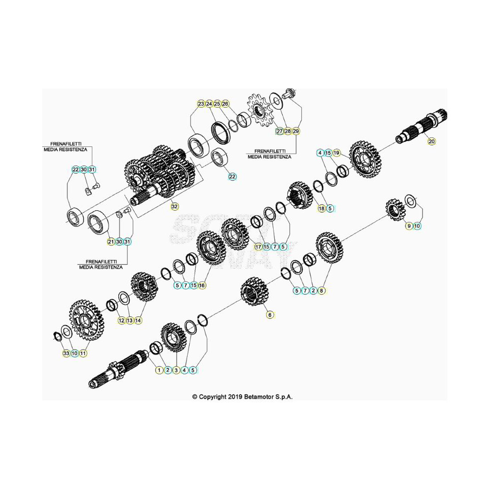 Beta RR350RC 20 4T Getriebe Ersatzteile Beta RR350RC 20 4T Getriebe Ersatzteile
