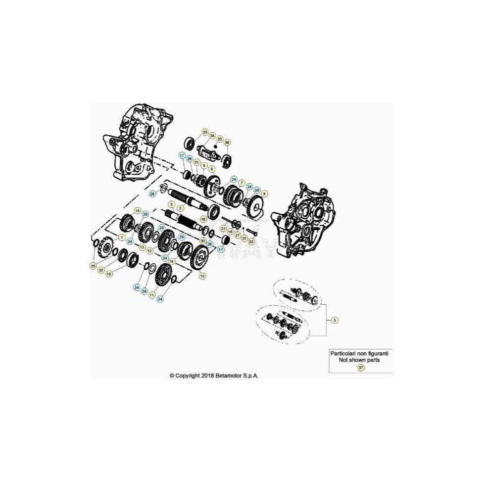 Beta RR50 20 Getriebe Ersatzteile