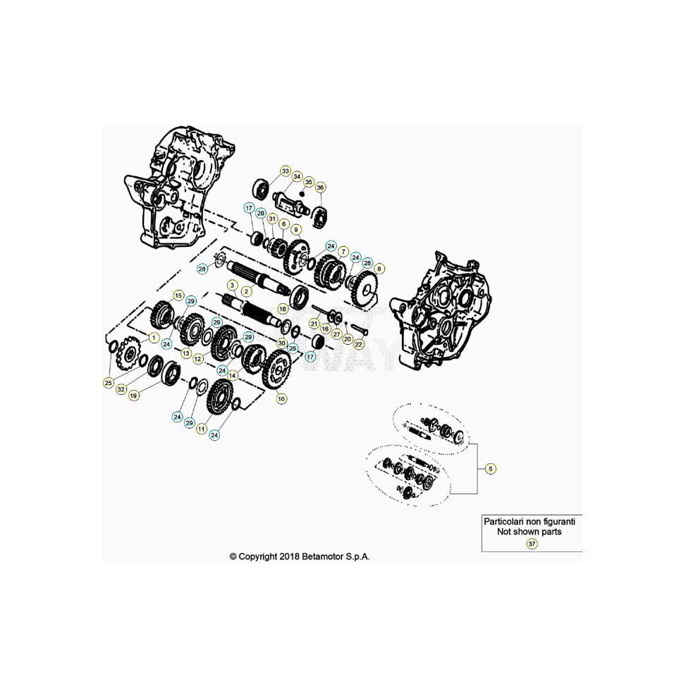 Beta RR50 Street 20 Getriebe Ersatzteile Beta RR50 Street 20 Getriebe Ersatzteile