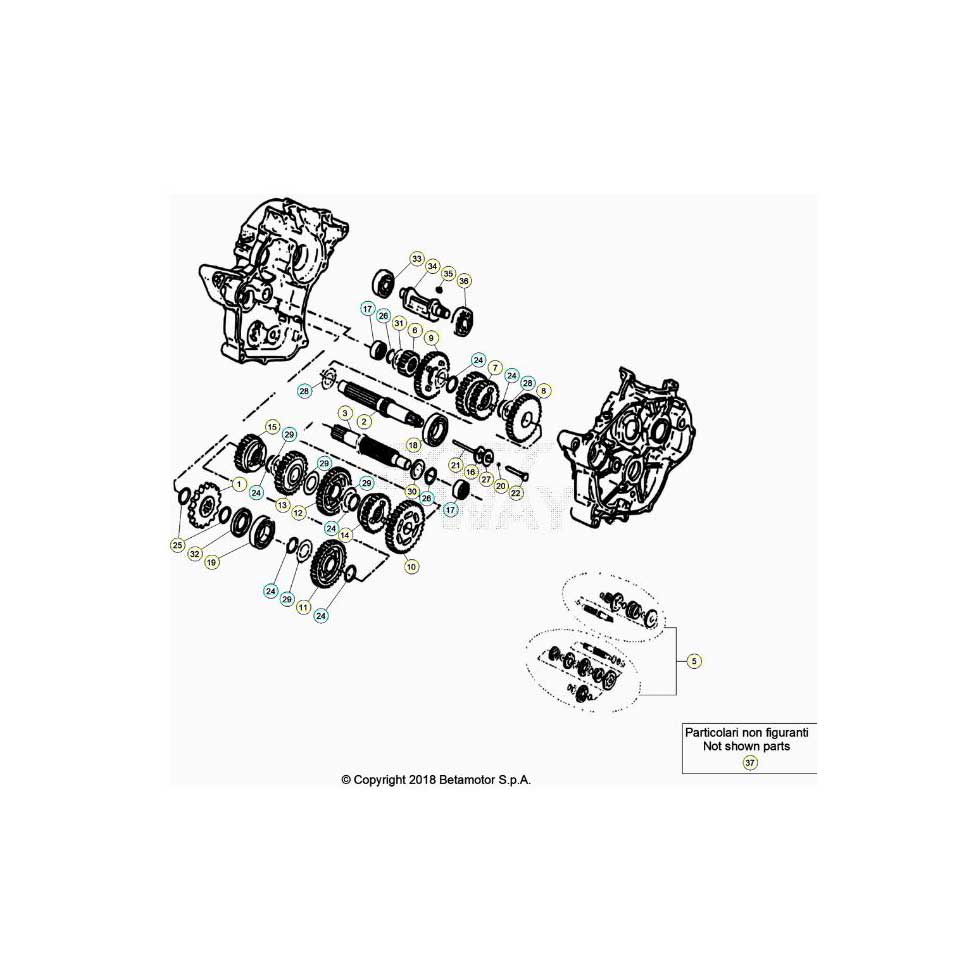 Beta RR50 Street Track 20 Getriebe Ersatzteile Beta RR50 Street Track 20 Getriebe Ersatzteile