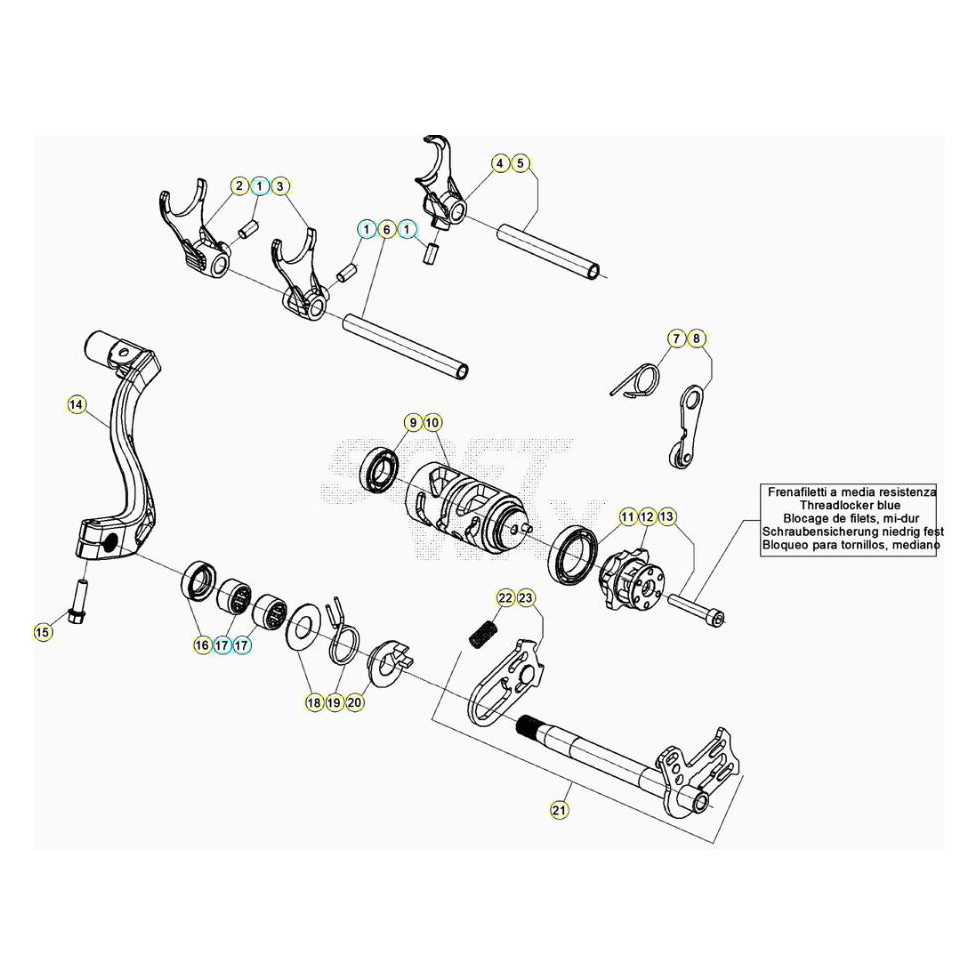 Beta EVO300 4T 20 Schaltung Ersatzteile Beta EVO300 4T 20 Schaltung Ersatzteile