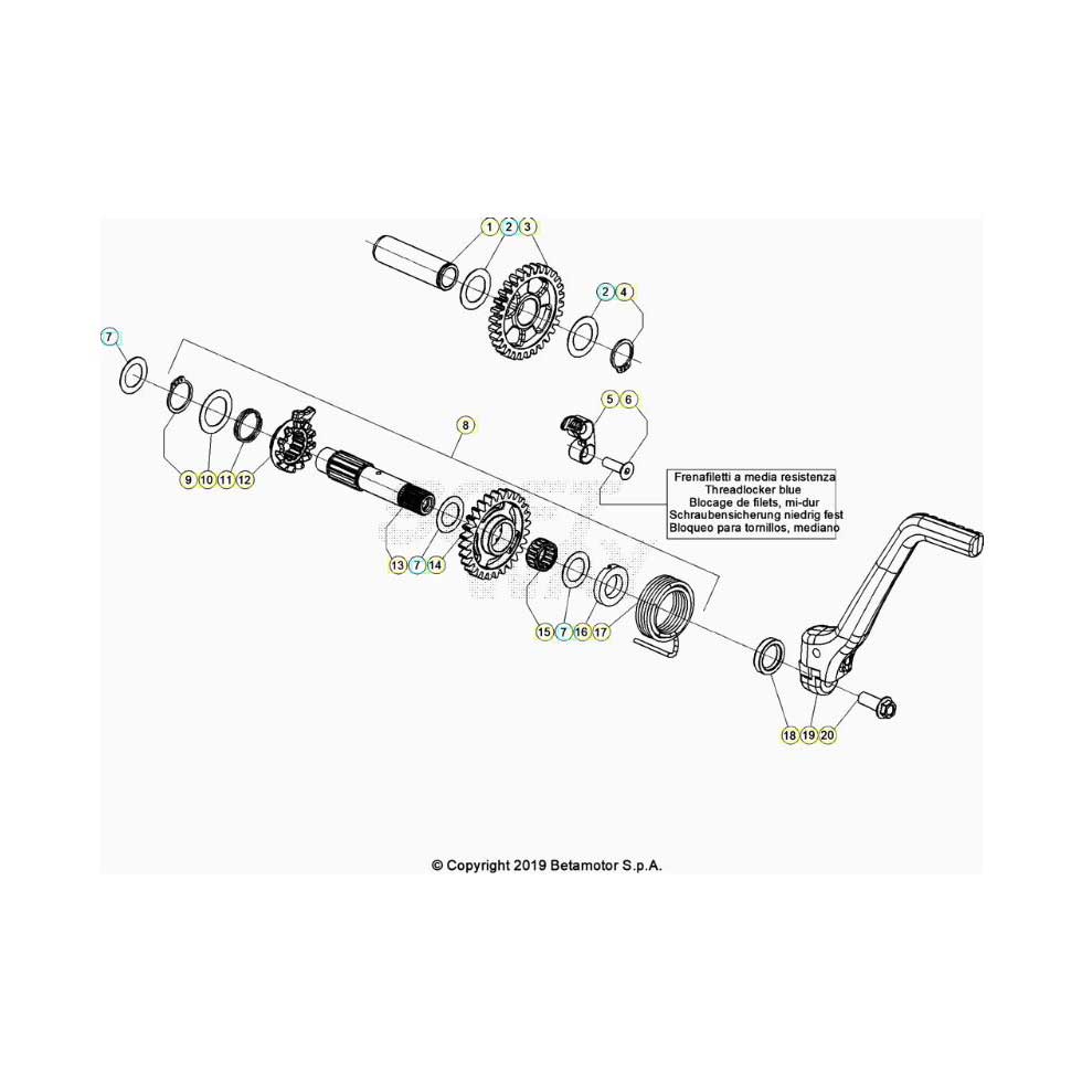 Beta EVO300 Factory 4T 20 Kickstarter Ersatzteile Beta EVO300 Factory 4T 20 Kickstarter Ersatzteile