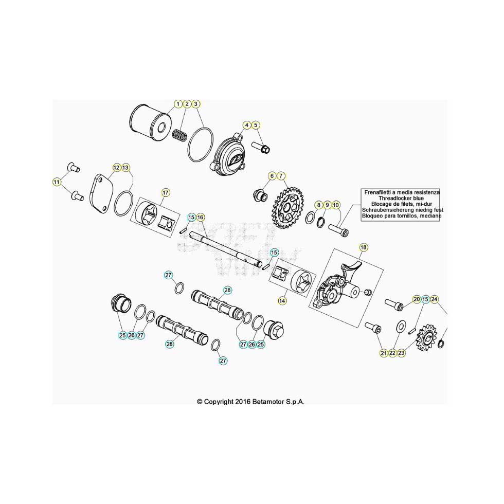 Beta EVO300 Factory 4T 20 Schmiersystem Ersatzteile Beta EVO300 Factory 4T 20 Schmiersystem Ersatzteile