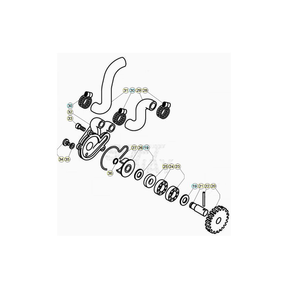 Beta EVO125 22 Kühlsystem Ersatzteile Beta EVO125 22 Kühlsystem Ersatzteile