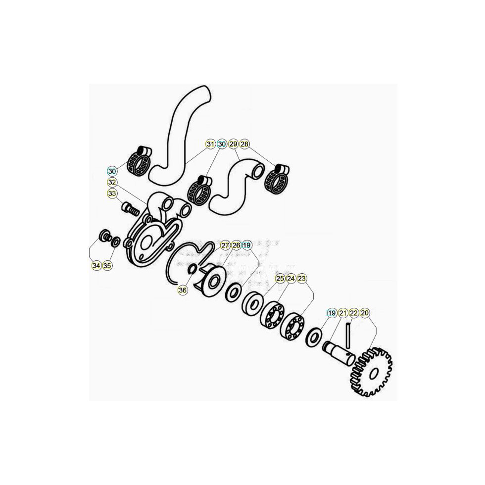 Beta EVO300 2T 20 Kühlsystem Ersatzteile Beta EVO300 2T 20 Kühlsystem Ersatzteile