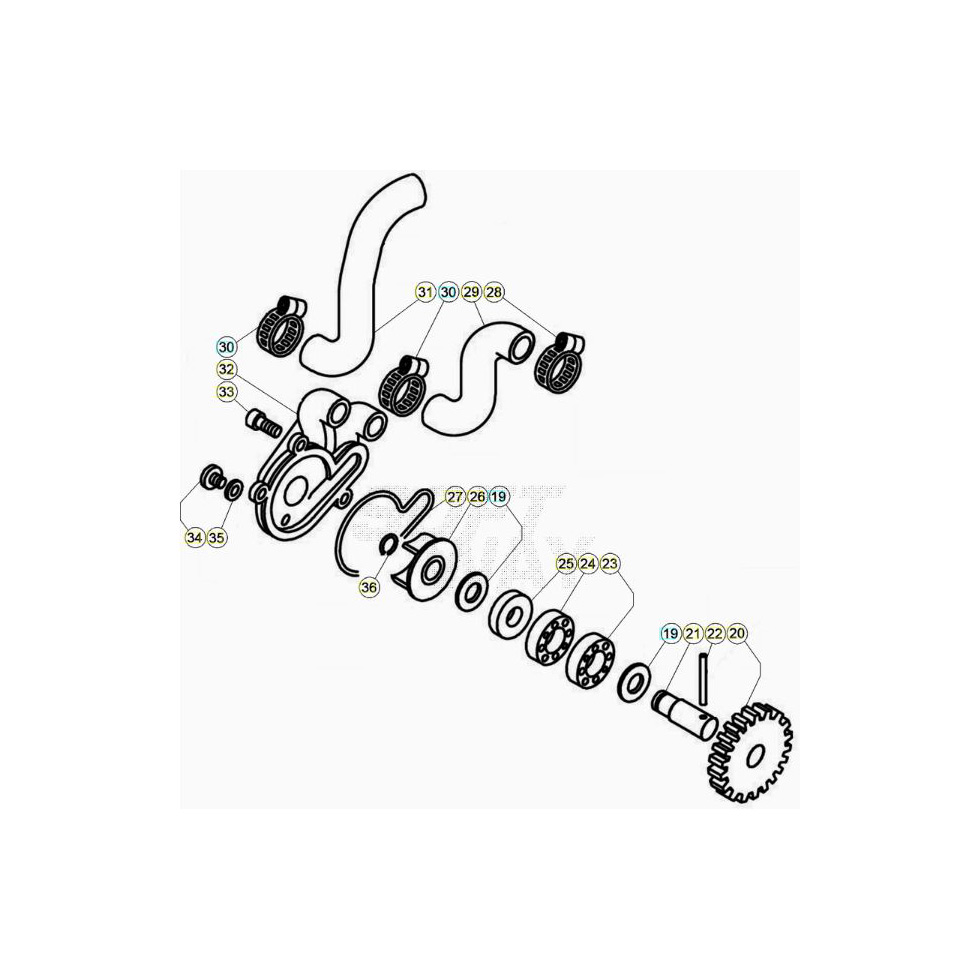 Beta EVO300 SS 20 Kühlsystem Ersatzteile Beta EVO300 SS 20 Kühlsystem Ersatzteile