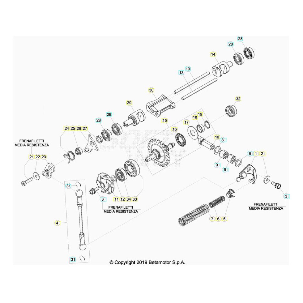 Beta RR250 25 Kühlsystem Ersatzteile