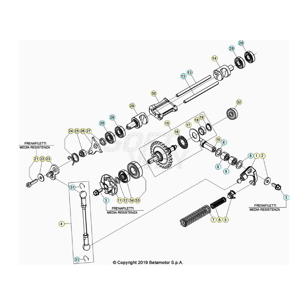 Beta RR250RC 25 Kühlsystem Ersatzteile