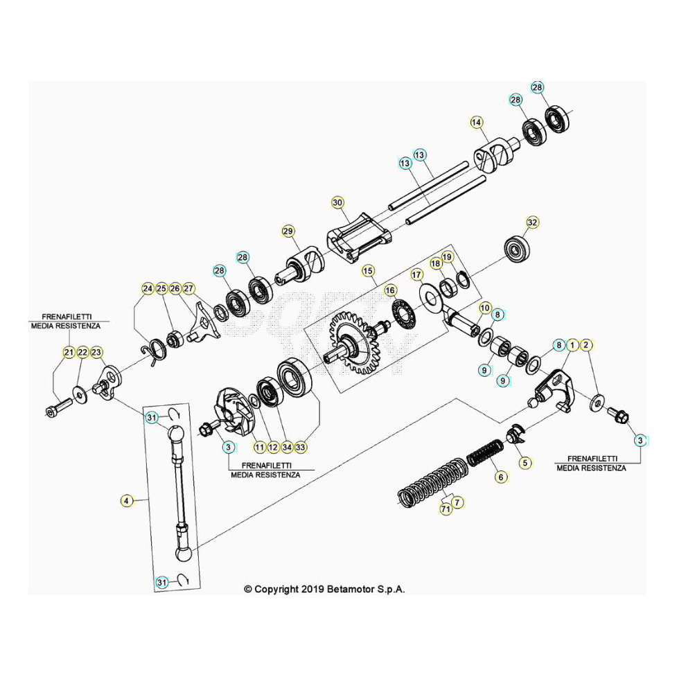 Beta RR300RC 20 Kühlsystem Ersatzteile