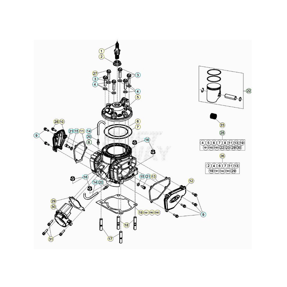 Beta RR300 21 Zylinder/Zylinderkopf/Ventiltrieb Ersatzteile