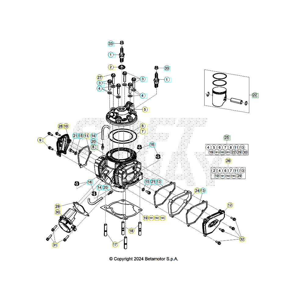 Beta RR300RC 25 Zylinder/Zylinderkopf/Ventiltrieb Ersatzteile