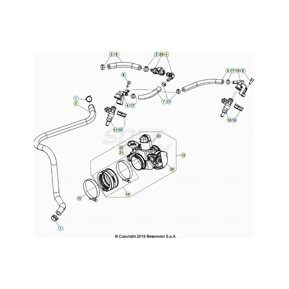 Beta RR350RC 24 4T Kraftstoffeinspritzung Ersatzteile Beta RR350RC 24 4T Kraftstoffeinspritzung Ersatzteile