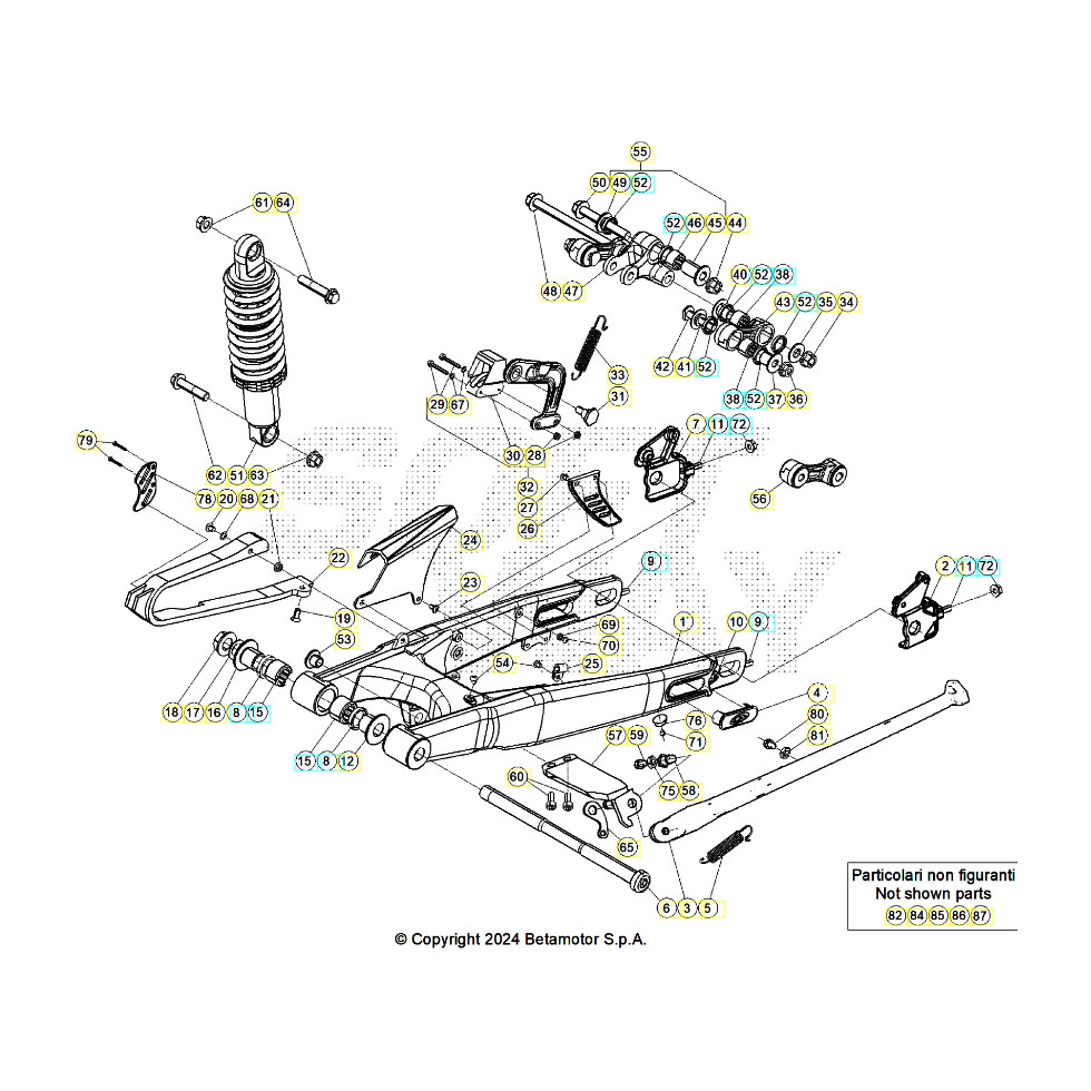 Beta EVO250 25 Schwingarm/Federbein 1 Ersatzteile