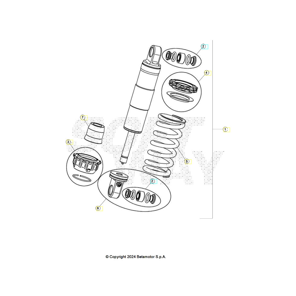 Beta EVO250 25 Schwingarm/Federbein 2 Ersatzteile