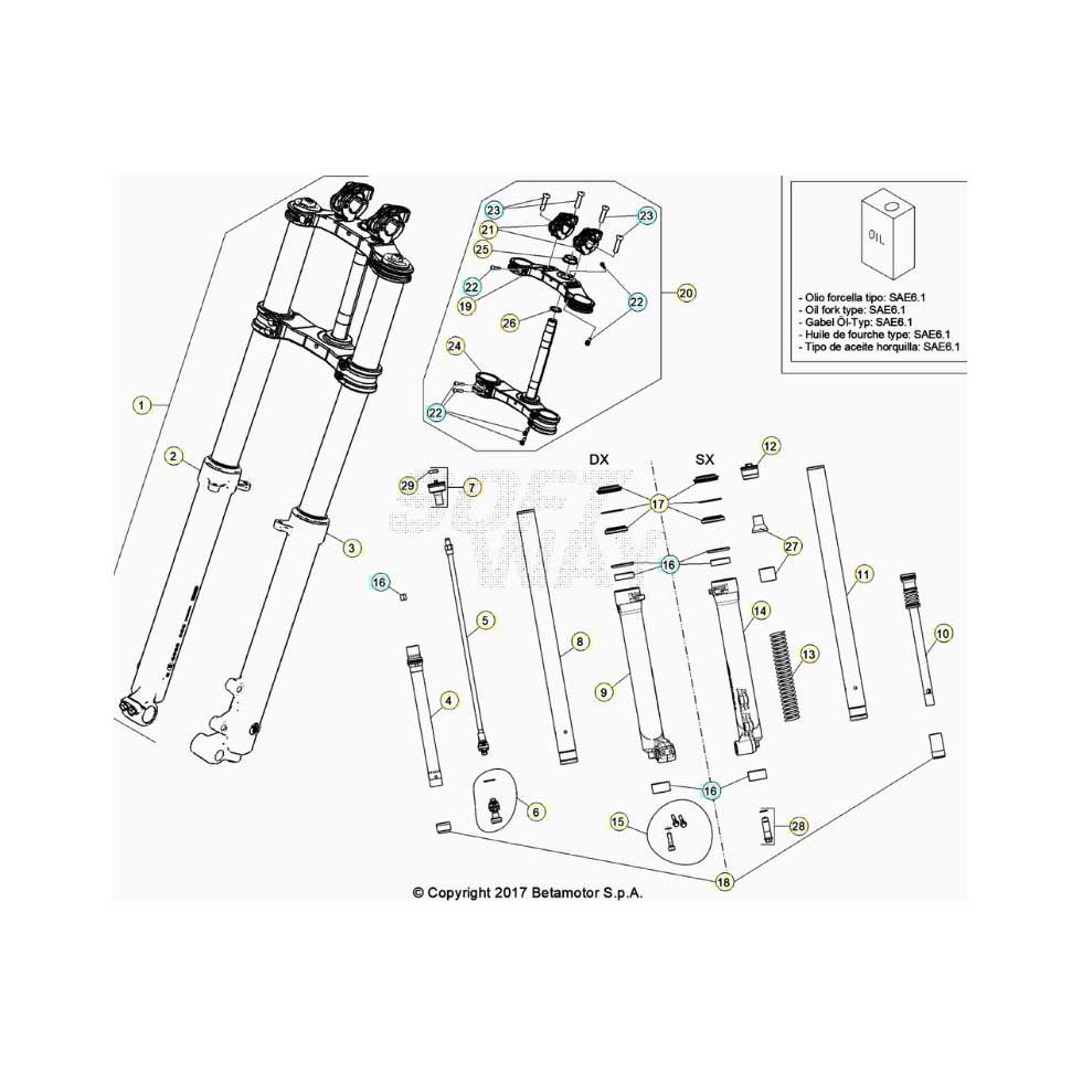 Beta EVO125 Factory 21 Gabel Ersatzteile Beta EVO125 Factory 21 Gabel Ersatzteile