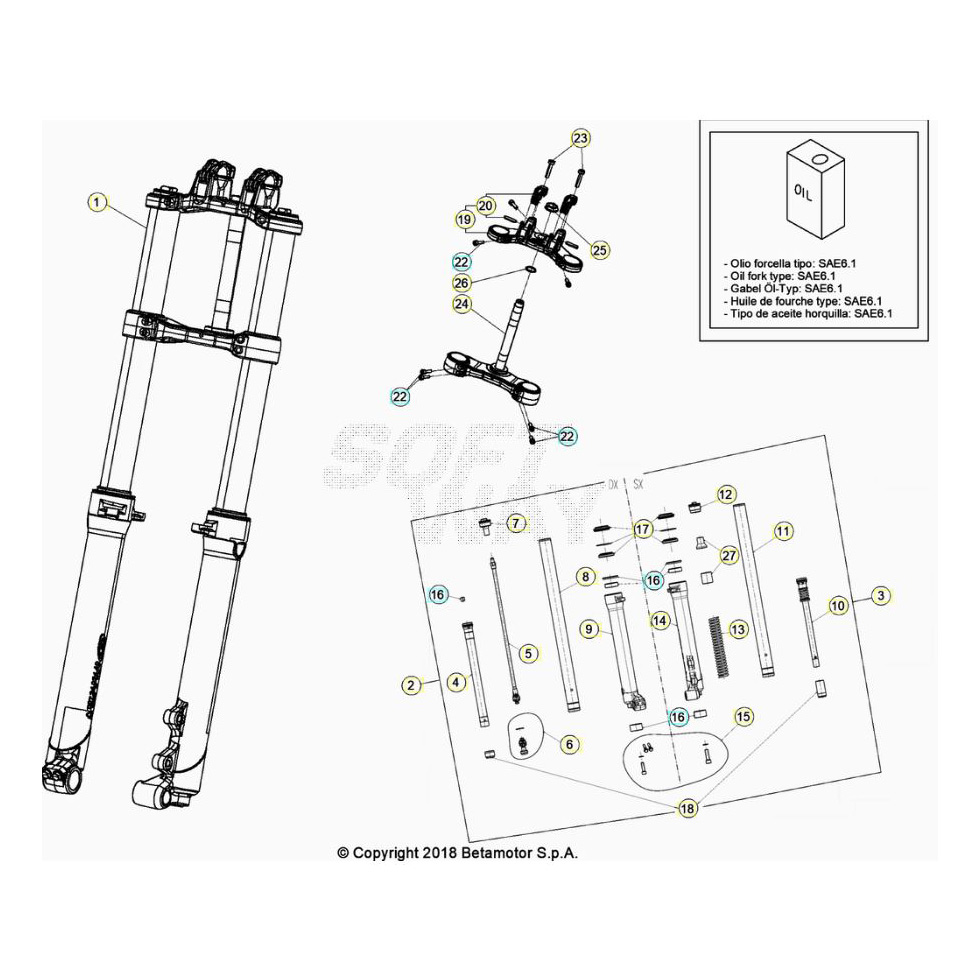 Beta EVO300 2T 23 Gabel Ersatzteile