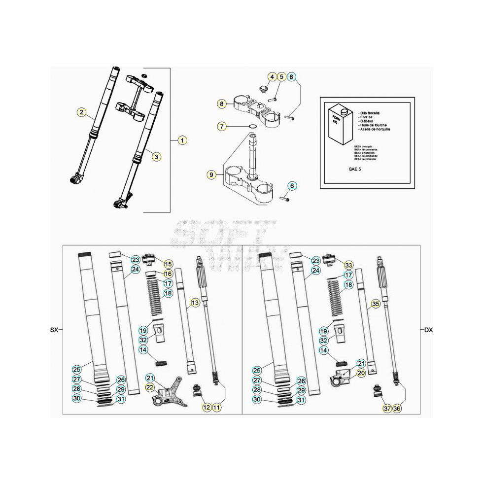 Beta RR125 20 Gabel Ersatzteile