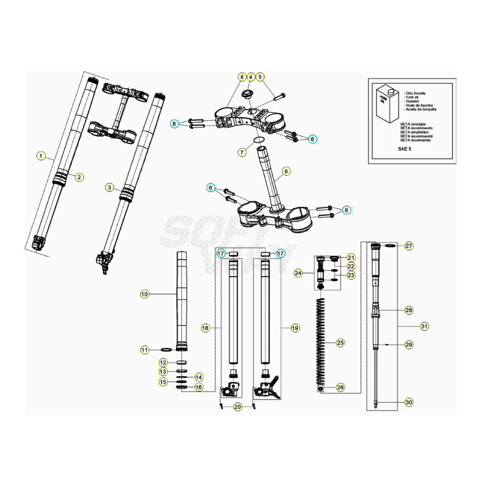 Beta RR125RC 20 Gabel Ersatzteile