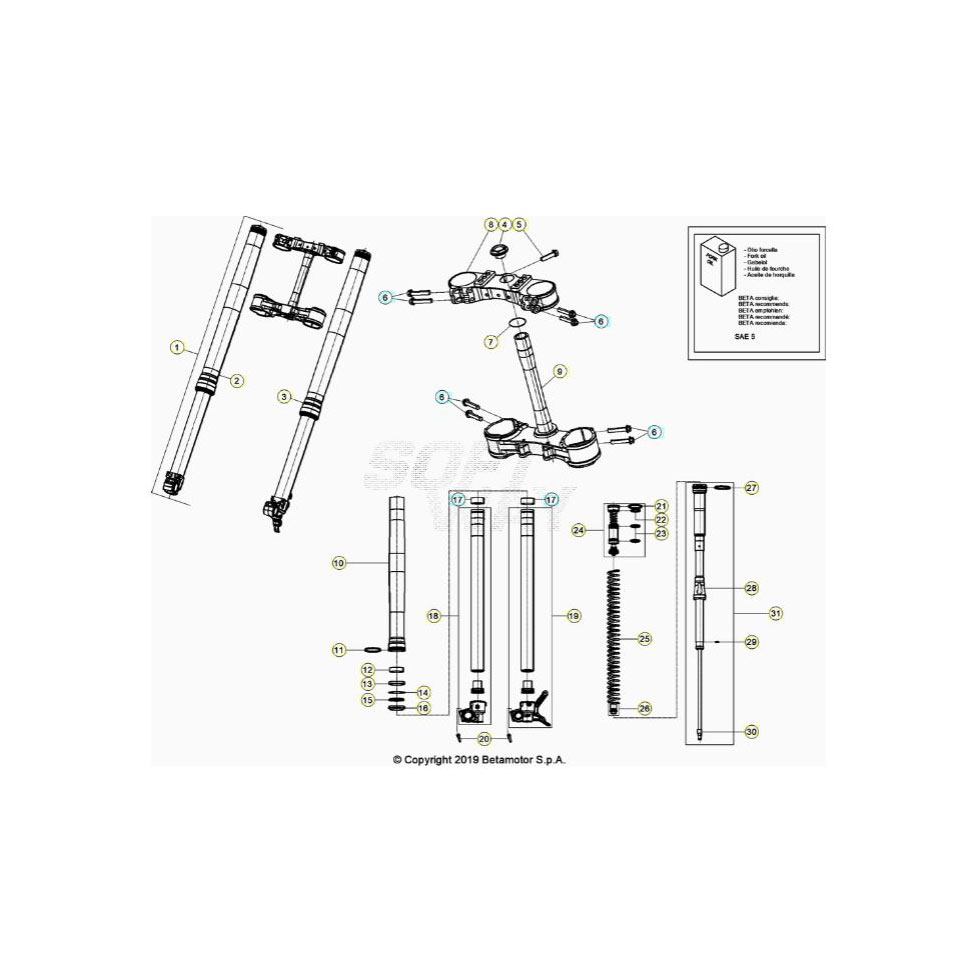 Beta RR200RC 22 Gabel Ersatzteile