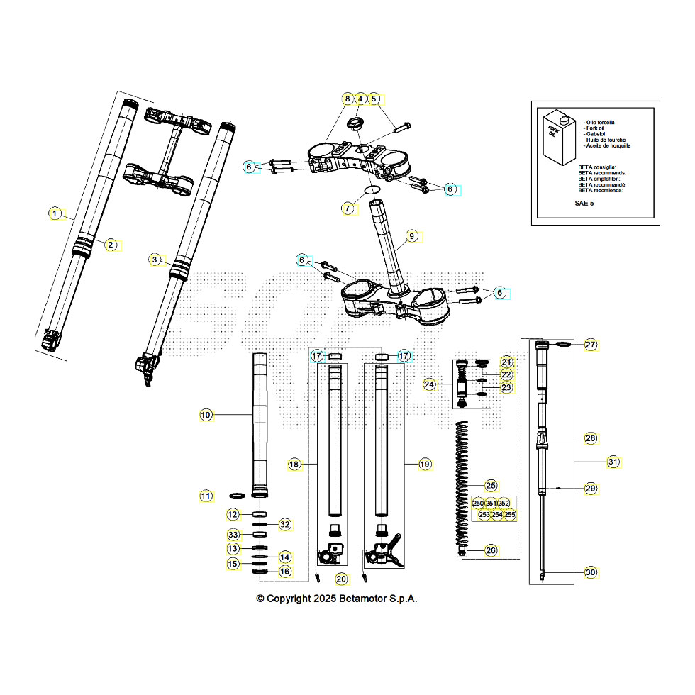 Beta RR250RC 25 Gabel Ersatzteile