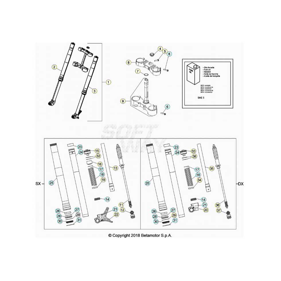 Beta RR250 19 Gabel Ersatzteile