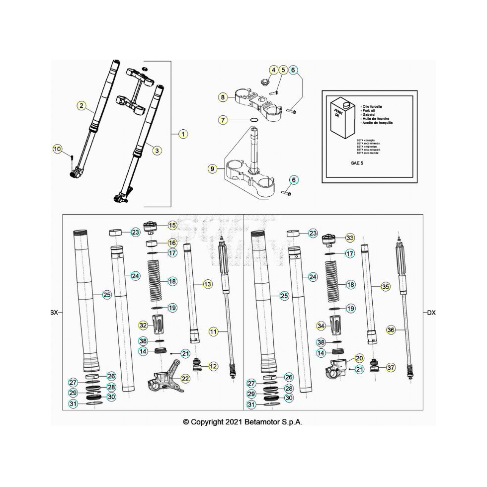 Beta RR250 22 Gabel Ersatzteile