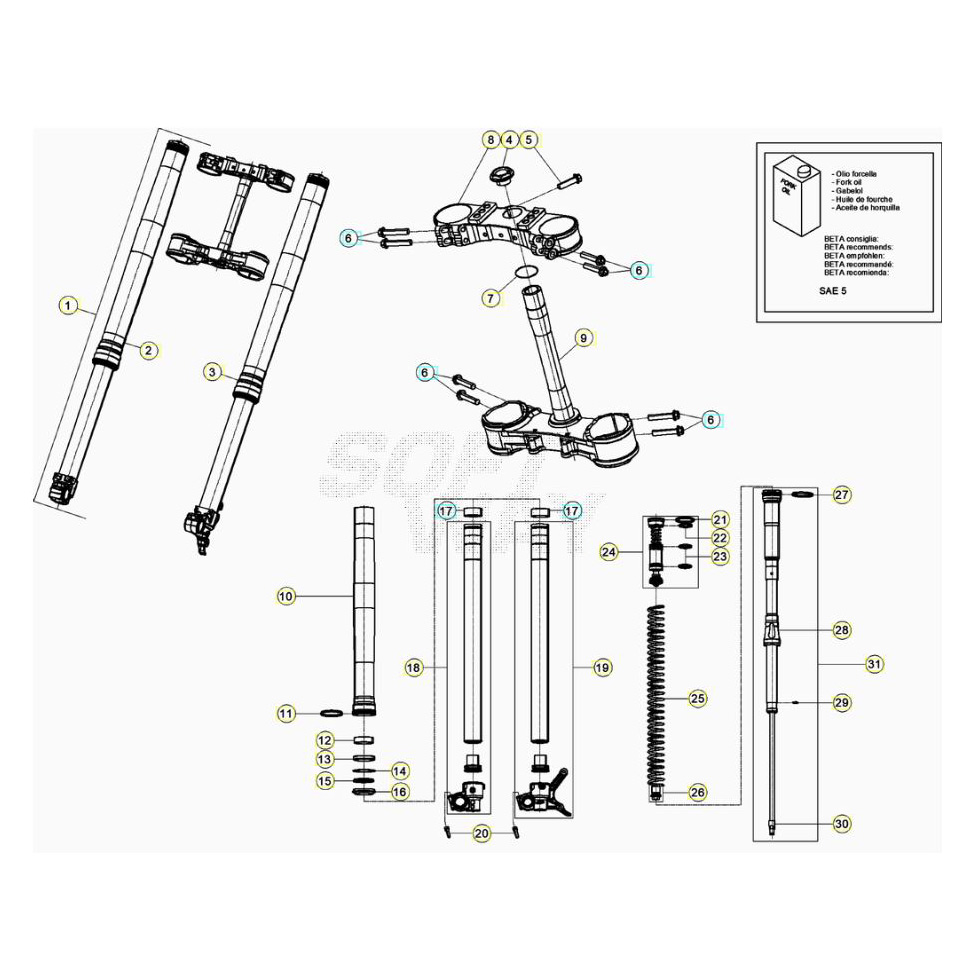 Beta RR250RC 24 Gabel Ersatzteile