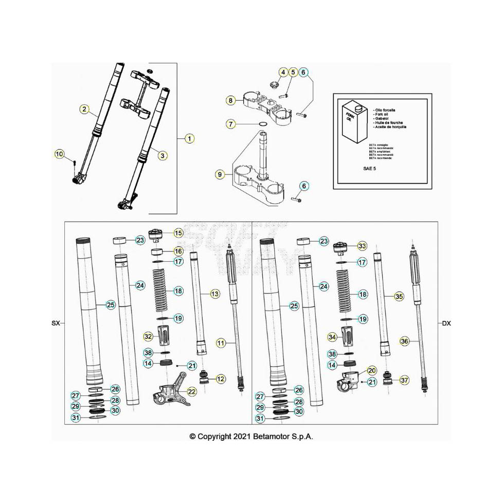Beta RR350 22 Gabel Ersatzteile