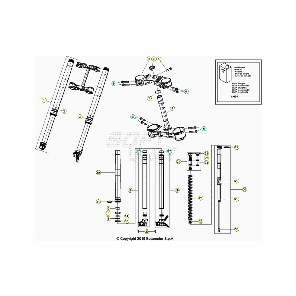 Beta RR350RC 20 4T Gabel Ersatzteile Beta RR350RC 20 4T Gabel Ersatzteile