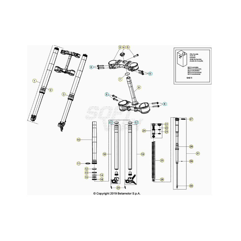 Beta RR480RC 20 4T Gabel Ersatzteile Beta RR480RC 20 4T Gabel Ersatzteile