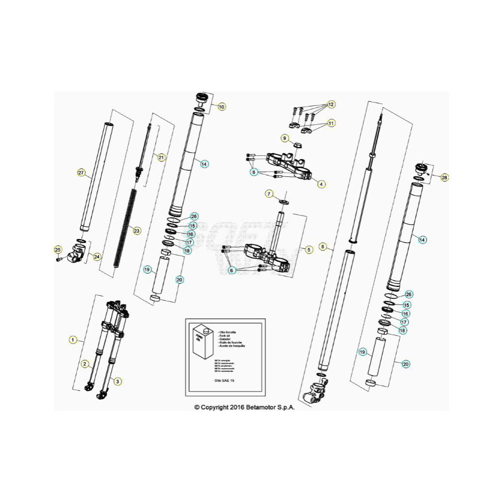 Beta RR50RC 21 Gabel Ersatzteile Beta RR50RC 21 Gabel Ersatzteile