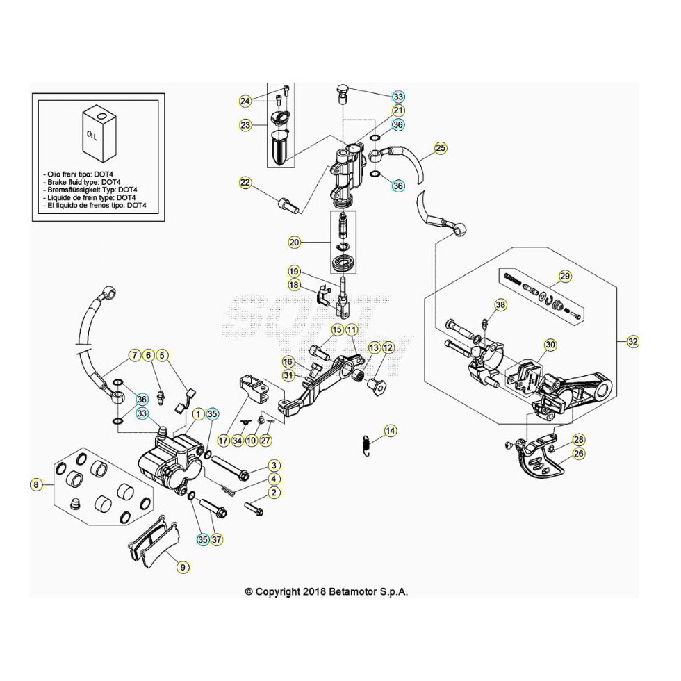 Beta  EVO250 Factory 22 Bremsen Ersatzteile