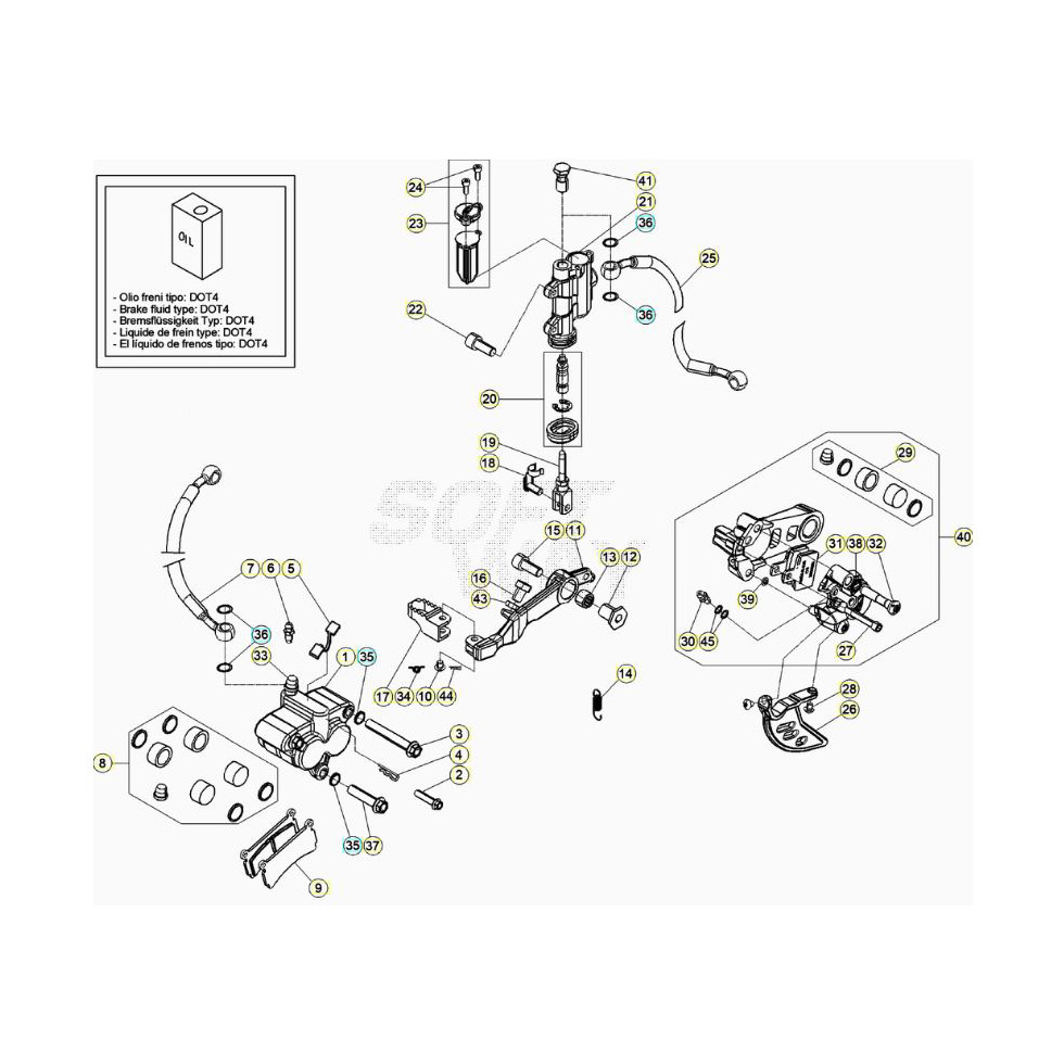 Beta EVO300 4T 20 Bremsen Ersatzteile