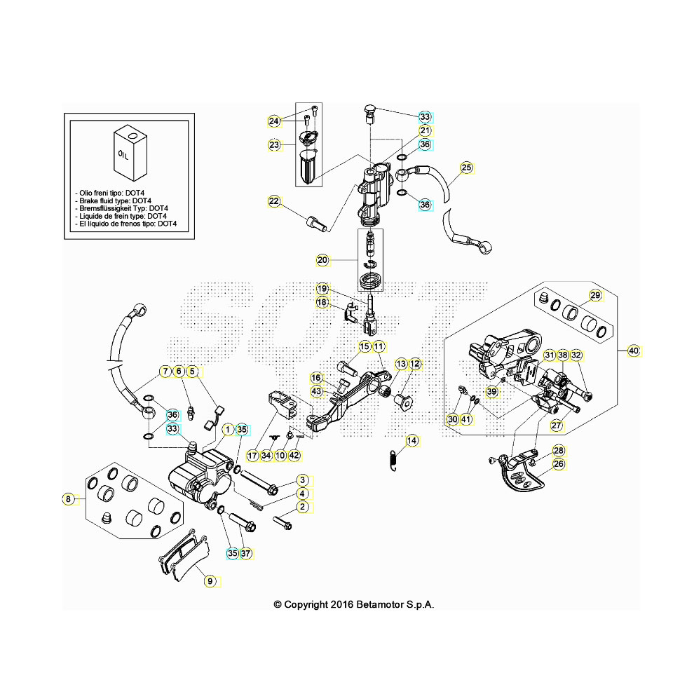 Beta EVO300 4T 24 Bremsen Ersatzteile