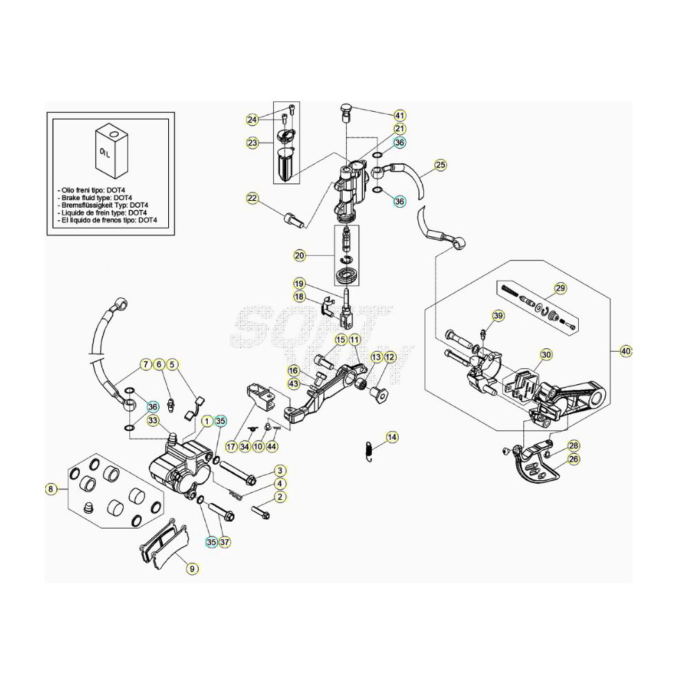 Beta EVO300 SS 20 Bremsen Ersatzteile Beta EVO300 SS 20 Bremsen Ersatzteile