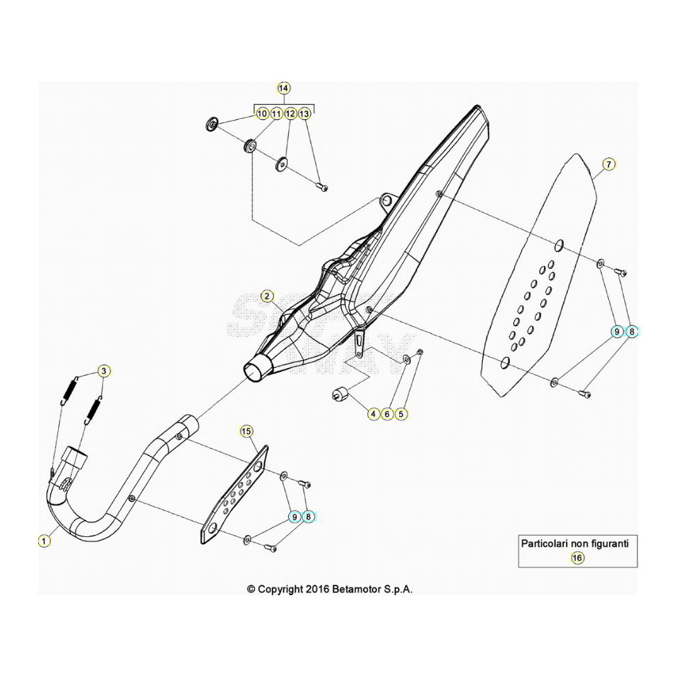 Beta EVO300 4T 20 Auspuffsystem Ersatzteile