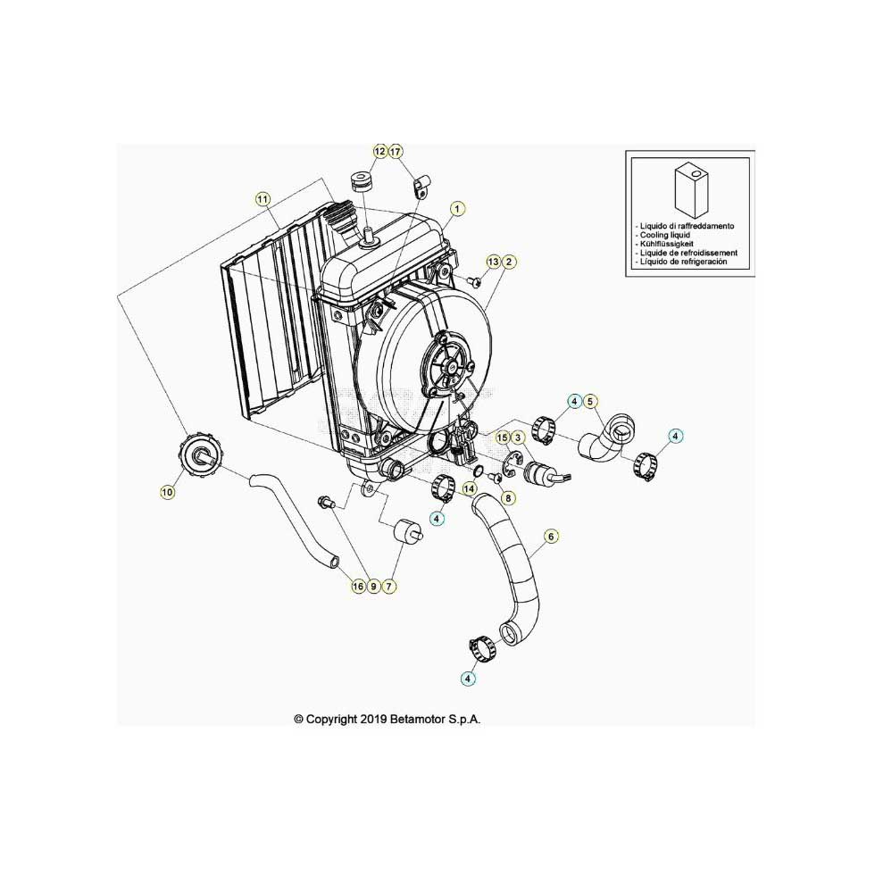 Beta  EVO250 Factory 20 Kühlsystem Ersatzteile