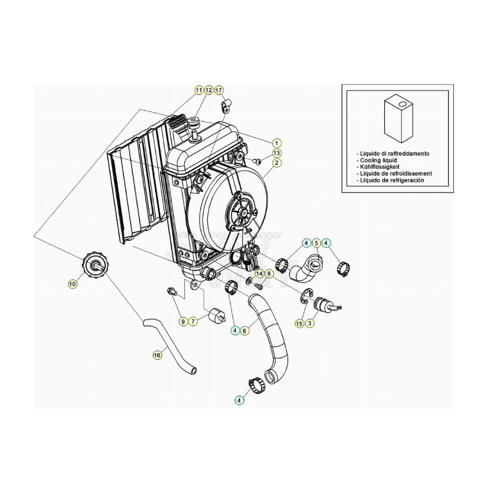 Beta EVO300 4T 20 Kühlsystem Ersatzteile