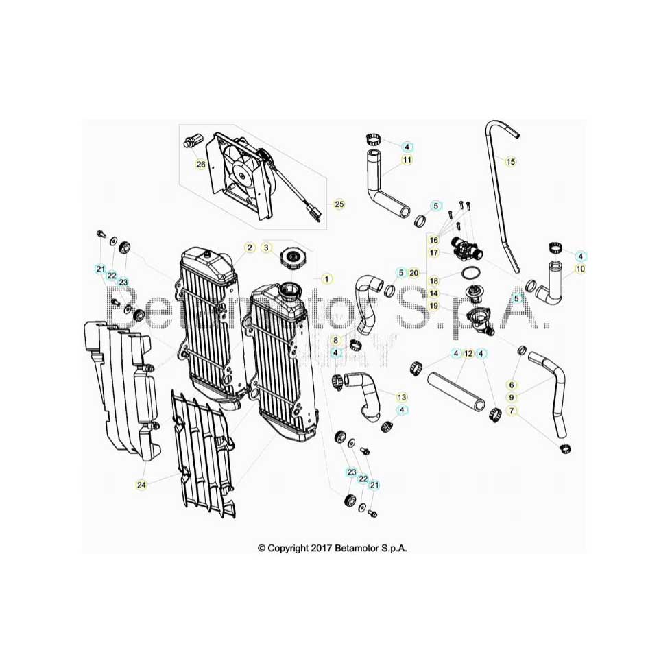 Beta RR250 19 Kühlsystem Ersatzteile